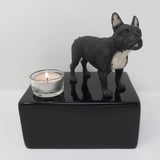 Honden Urn - Franse Bulldog - design urn met theelichtje