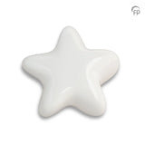Keramische Kunsturne als Andenken Asteri FPU061