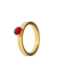 Geburtssteinring Januar Granat Gold