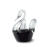 Swan Black - U37ZBL