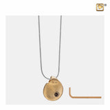 TearDrop Gepolijst & Geborsteld Goud Verguld | PD1021
