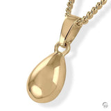 Ash jewelry pendant AH064