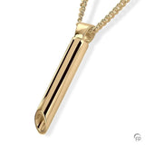 Ash jewelry pendant AH066