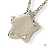 Ash jewelry pendant AH079