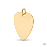 Ash jewelry pendant AH176 - Plectrum -