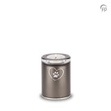 Kerzenhalter aus Glas GUP092S Tierurne