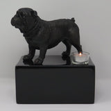 Engelse Bulldog Urn met theelichtje