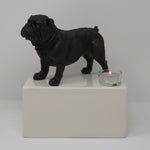 Engelse Bulldog Urn met theelichtje