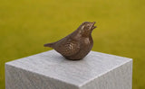 Kleine Vogel urn Brons | FV0624BR-B