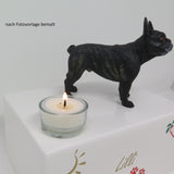 Franse Bulldog - design urn met theelichtje