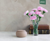 SERES mini – handmade eco urn in sand-colored engobe 