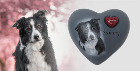 Portrait return with an image of your animal in the shape of a heart