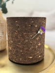 "Pr!kk" Urn Dark - een Urns&More original
