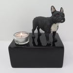 Franse Bulldog - design urn met theelichtje