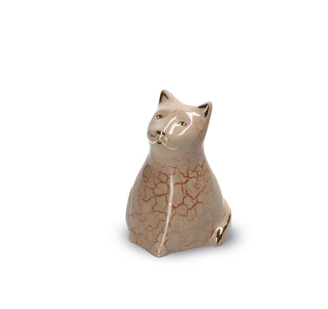 Kat - Poes | Gato Cream