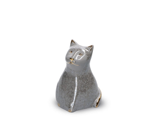 Kat - Poes | Gato Grey