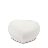 Gres Porcelain - COCCOLE GRAY 