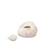 Gres Porcelain - COCCOLE GRAY 