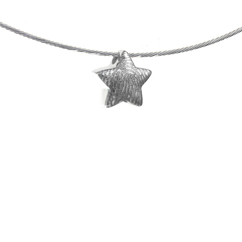 0229-00 Zilveren ster vingerafdruk hanger
